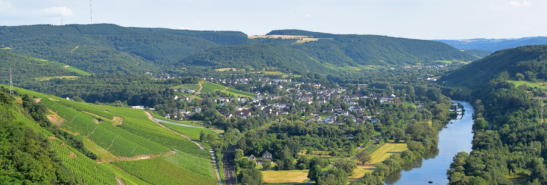 Wilthingen an der Saar - Weingut Borens - Saarwein, Riesling, Burgunder